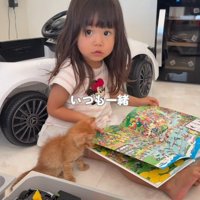 絵本を読む女の子の傍にいる子猫
