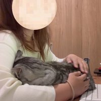 机に乗った猫を撫でてあげる女性