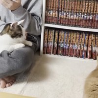 ひのきちゃんの後ろ姿