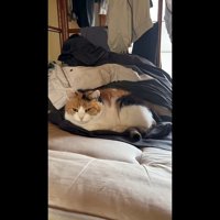 正面を向いた姿