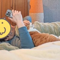 スマホを見ながら猫の頭を撫でる飼い主