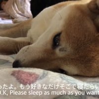 分かったよ。