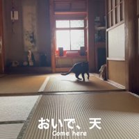 おいで