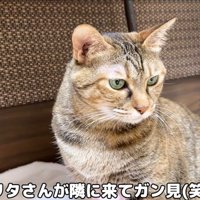 ガン見するリタさん