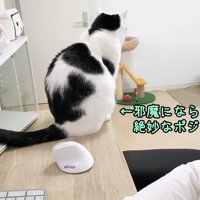 絶妙なポジション