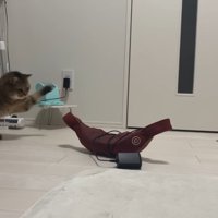 振りかぶって