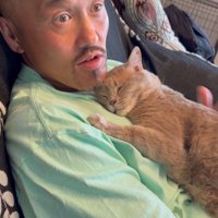 飼い主の上半身の上で伏せをして眠る猫