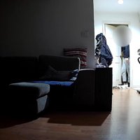 出てきた飼い主さん