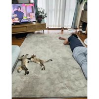 猫と男性