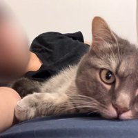 くつろぐふたり