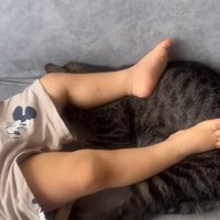 足の下敷きに
