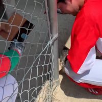 ベンチに迷い込む子猫