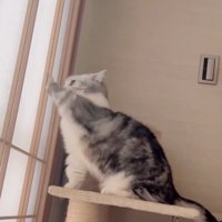 「寝かせて」と書かれた写真