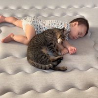 眠る赤ちゃんと猫