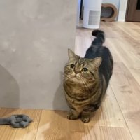 見上げるメルくん