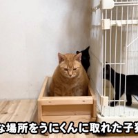 テロップ「好きな場所を～」