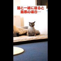 身を起こした姿