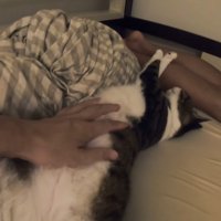 お腹をなでなで