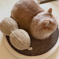 クッションの上に置かれたぬいぐるみと、その隣に座る猫