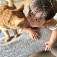 顔を見合わせる猫と赤ちゃん