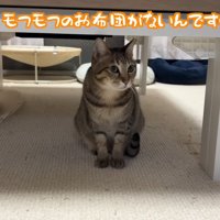 テーブルの下