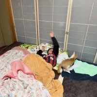 振り払われる猫