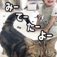 飼い主を見つめる猫と、笑顔の赤ちゃん