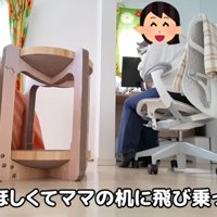 デスクにいる女性と抱かれている猫