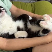 見上げる姿