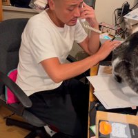 ノートの上から退く猫