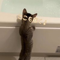 「ここも届く！」と書かれた写真