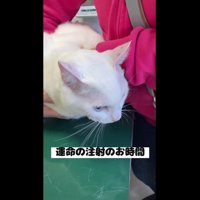 注射の時間