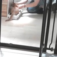 もちくんをなでなで