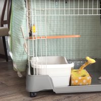 遊んでいる子猫たち