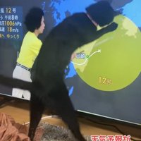 飛びつく猫