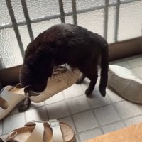 靴を持ち上げた姿