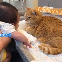 ぼくのになりました