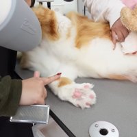 ドライヤー中
