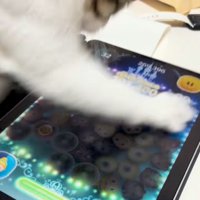 画面が少し暗くなる