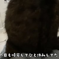 「この日も...」のテロップ写真