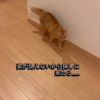 「姿が見えないから…」と書かれた写真