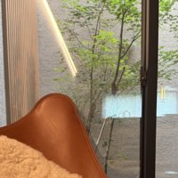 椅子の後ろに見える木が生えている中庭