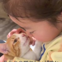 子猫を抱く女の子