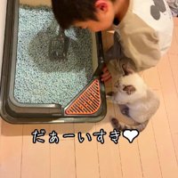 猫のトイレを掃除する男の子と子猫