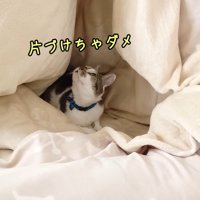 片付けちゃダメ