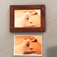 写真の比較