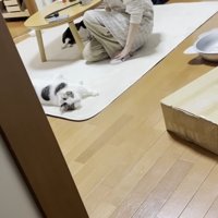 豆大福くんとママさん