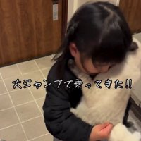 抱っこされてもがく猫