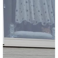 窓から見ている猫