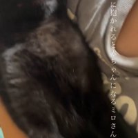 女の子に仰向けに抱っこされている黒猫